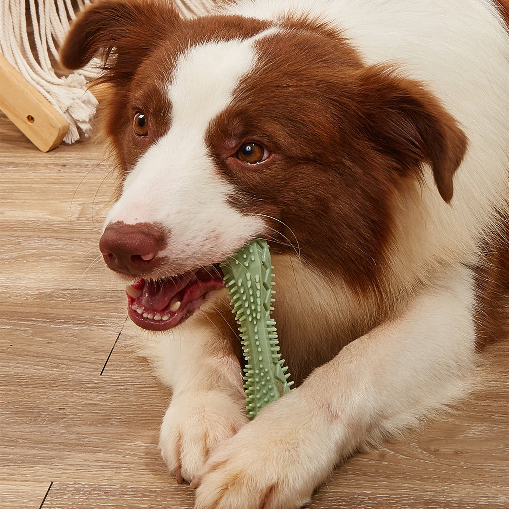 Chew Toys for Dog Teeth Cleaning – Pet Dental Chew Toy