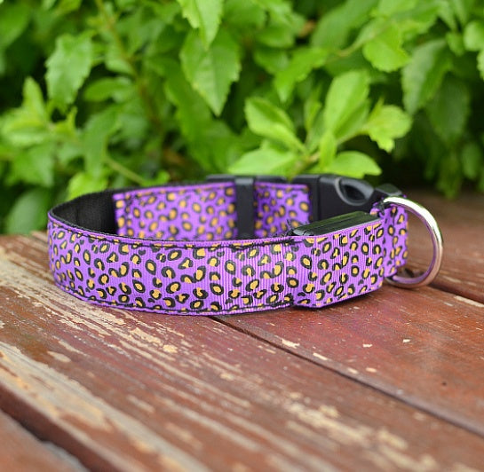 Purple adjustable LED dog collar with leopard design for safe nighttime walks