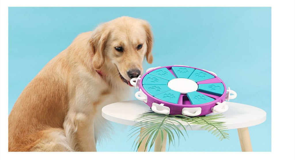 interactive dog puzzle feeder slow feeding bowl for mental stimulation