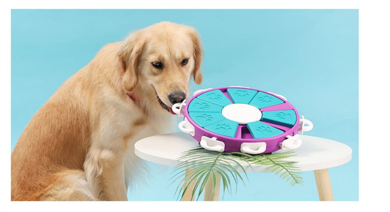 interactive dog puzzle feeder slow feeding bowl for mental stimulation