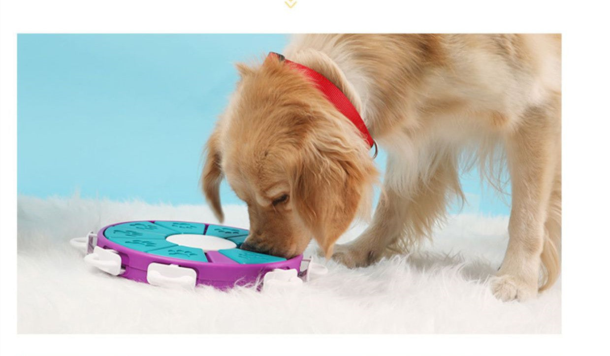 dog iq training toy slow feeder bowl for reducing fast eating