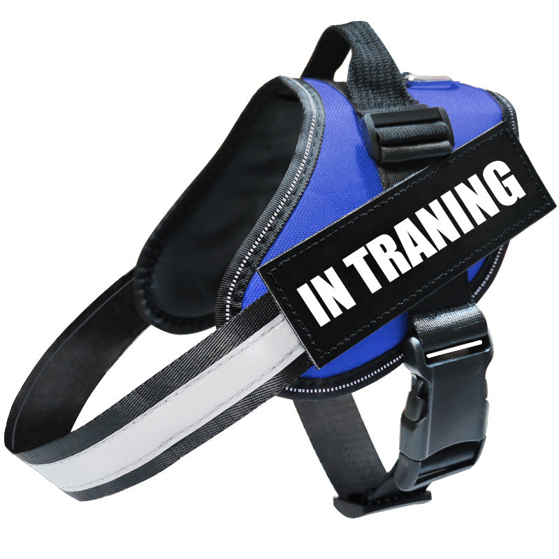 Blue dog harness with 'IN TRAINING' patch reflective leash and harness set for dogs safe comfortable daily walks