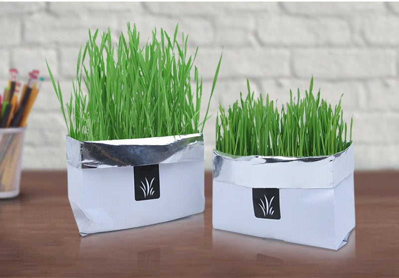 Two small silver planters with green grass-like plants on a wooden surface.