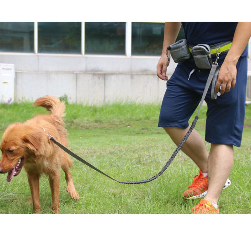 Dog training leash worn around waist for active exercise