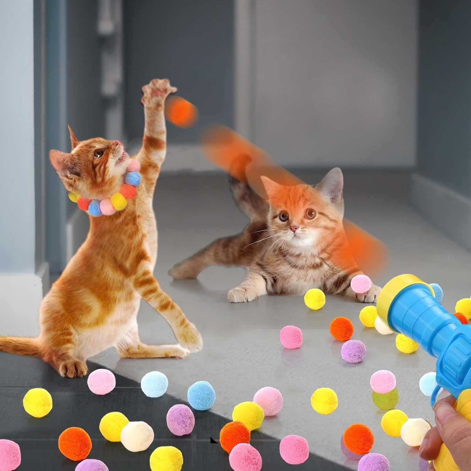 indoor cat exercise toy