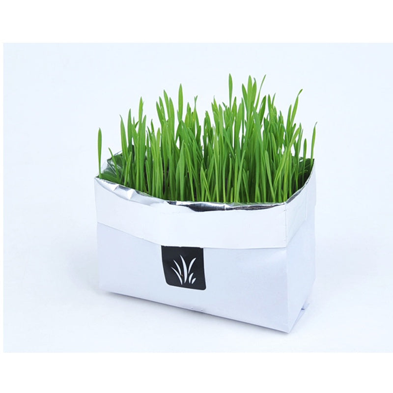 White planter with green grass on a white background