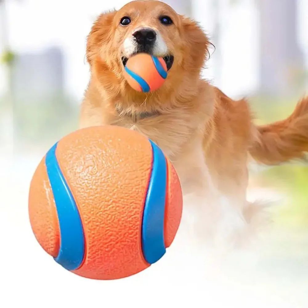 Durable dog fetch ball toy designed for tough chewing and training
