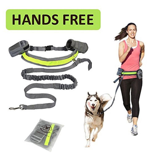 Adjustable hands-free dog leash for walking, running, and training