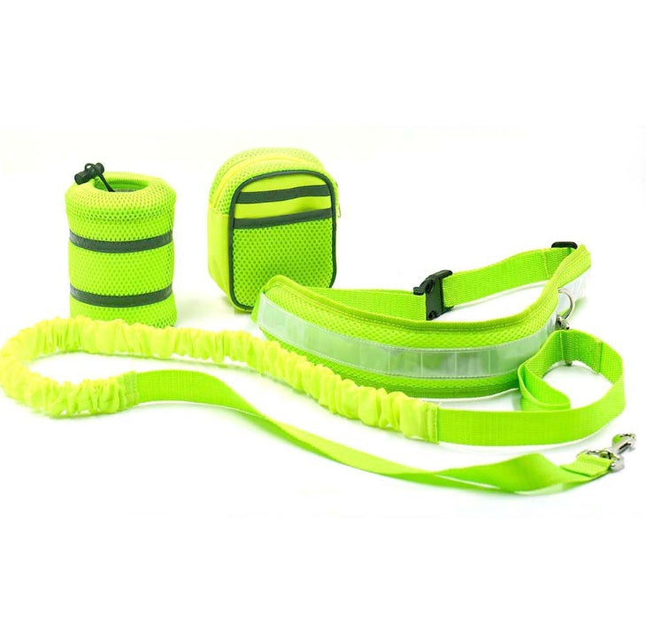Adjustable Hands-Free Dog Leash for Walking, Running & Training