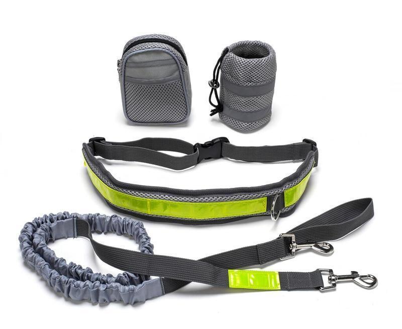 Adjustable Hands-Free Dog Leash for Walking, Running & Training