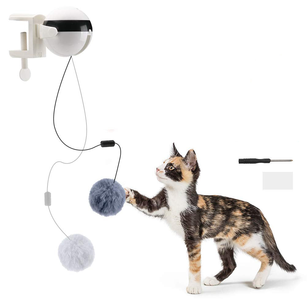 Cat playing with a wall-mounted toy with a fluffy ball on a white background