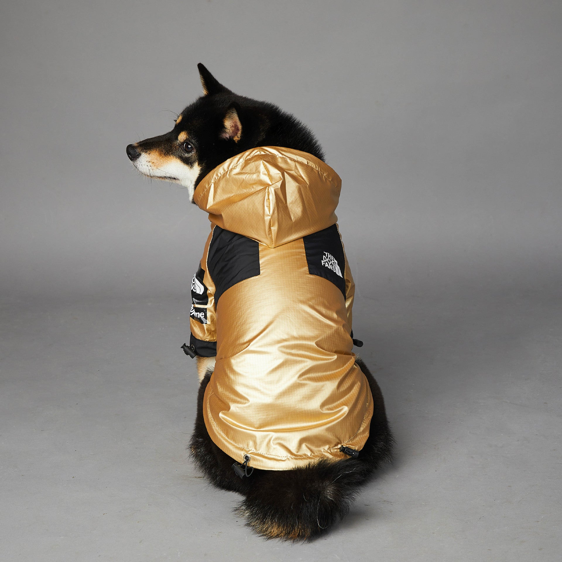 large dog waterproof raincoat North-Face style outdoor pet jacket