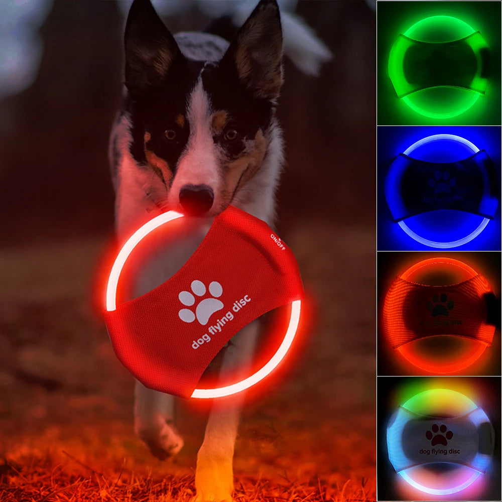 LED Light-Up Dog Flying Disc – full view of interactive toy for dogs

