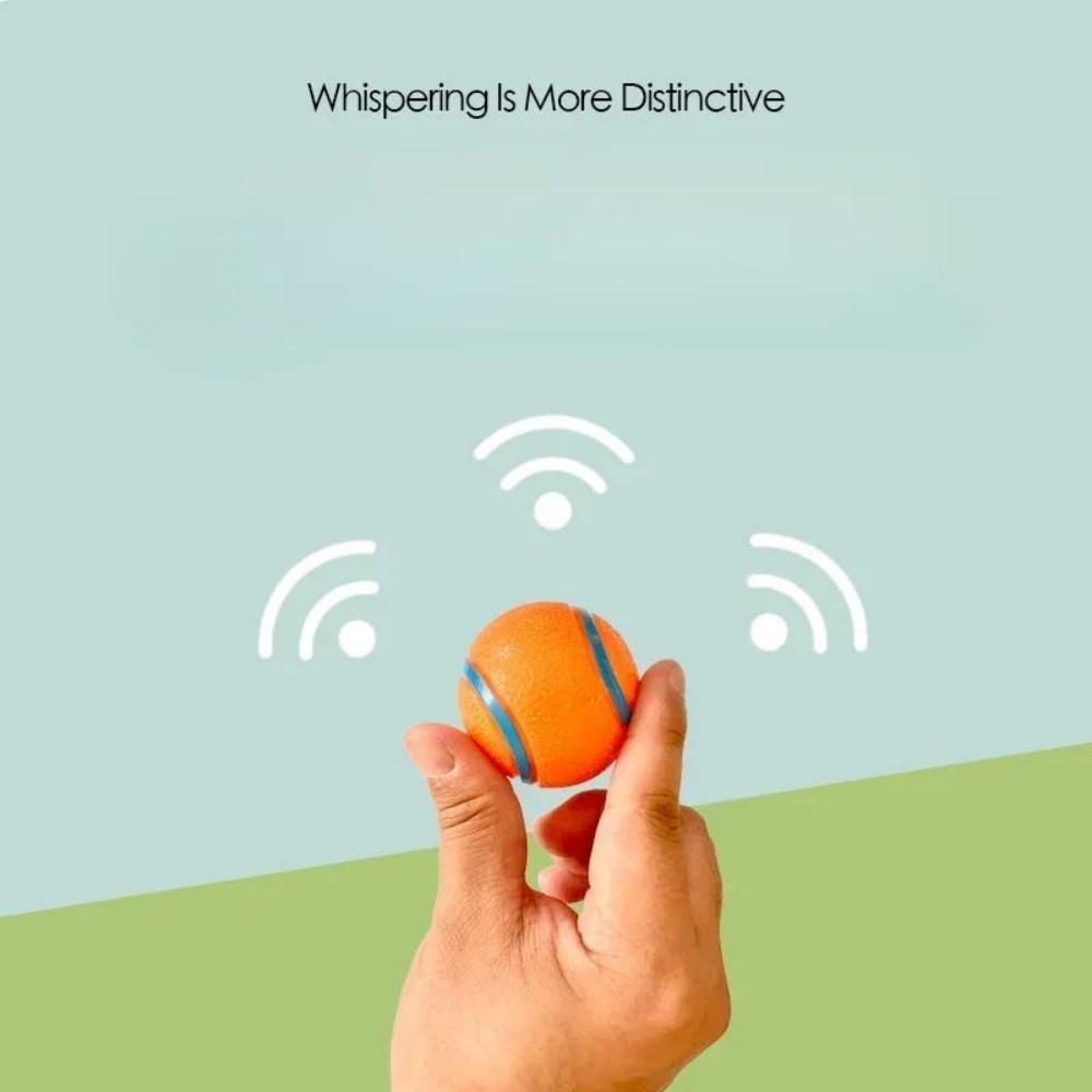 Dog fetch ball toy offering durability for active dogs