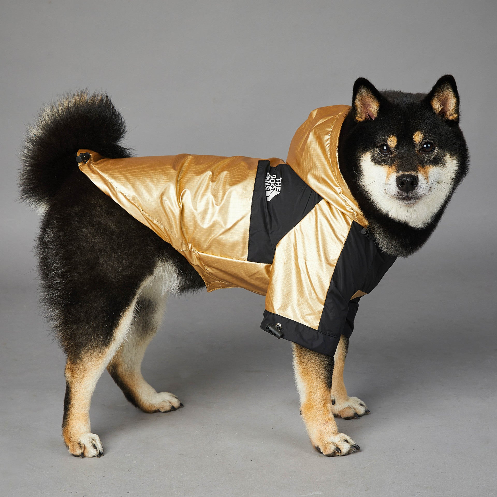  Large adjustable large dog raincoat waterproof and windproof North-Face design 