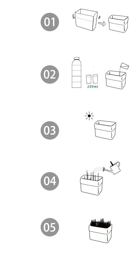 Step-by-step illustration of a gardening process on a white background