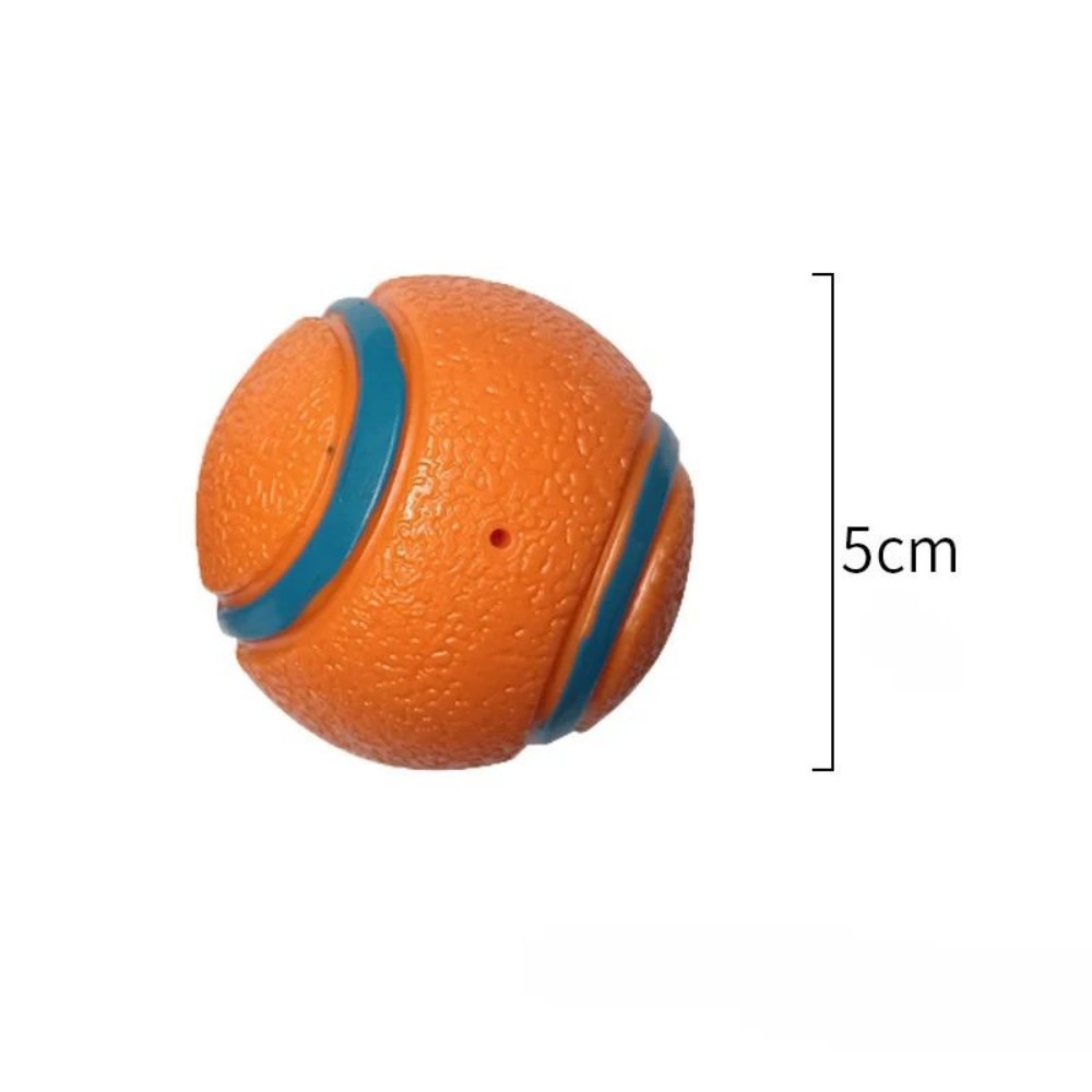Training dog fetch ball built for strong chewers
