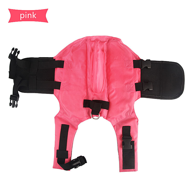 Shark fin dog life jacket showing secure buckle fit
