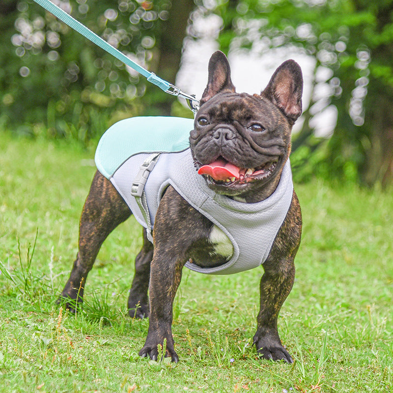 Lightweight air mesh cooling harness vest comfortable fit for small medium large dogs