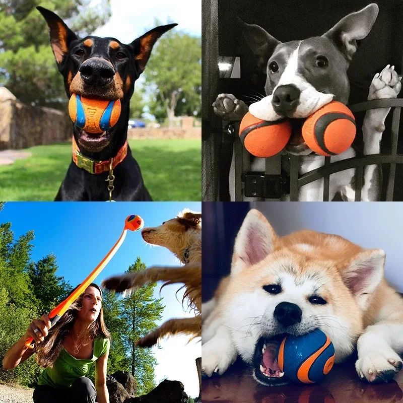 Durable rubber dog ball designed for fetch and training