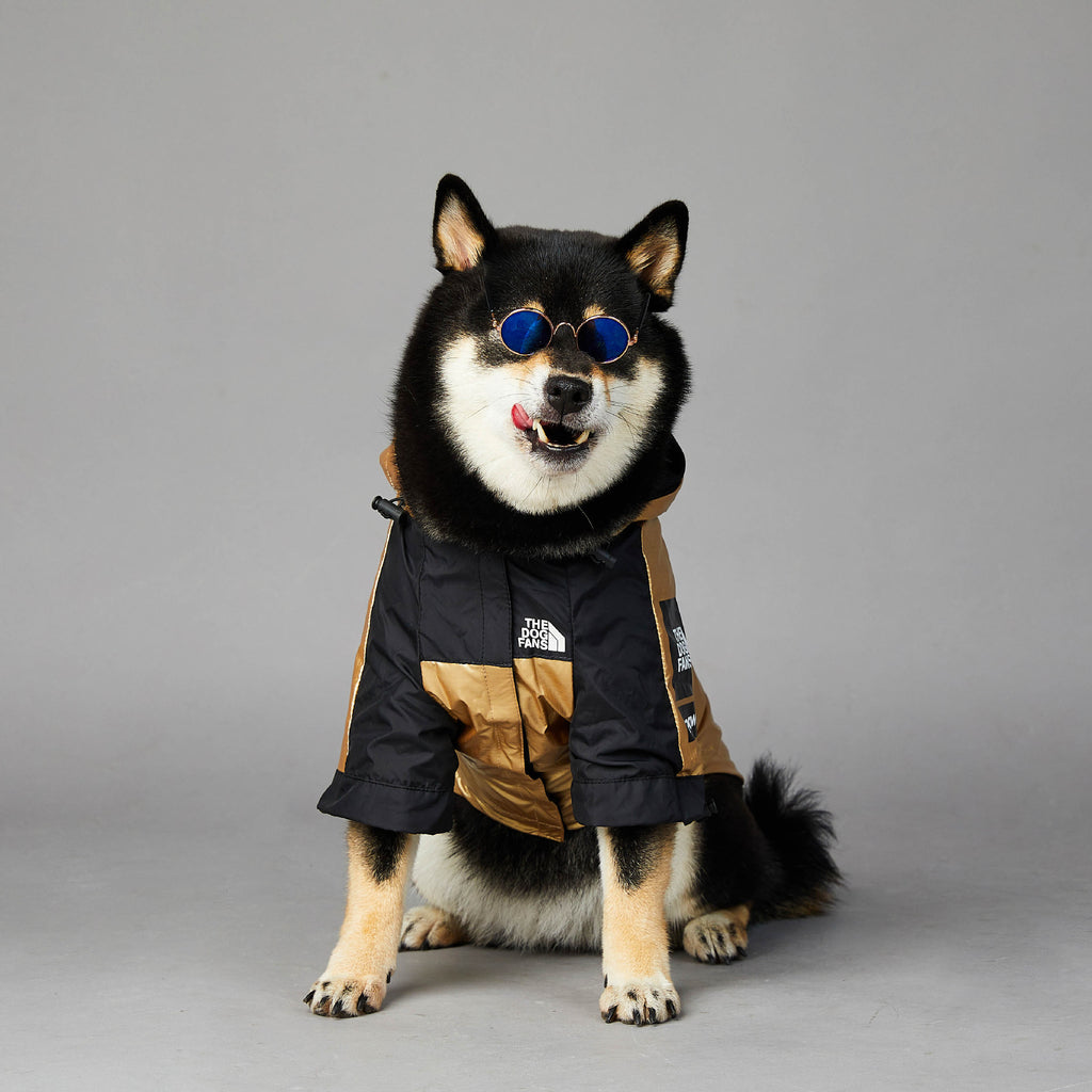 waterproof outdoor pet jacket for large dogs windproof raincoat 