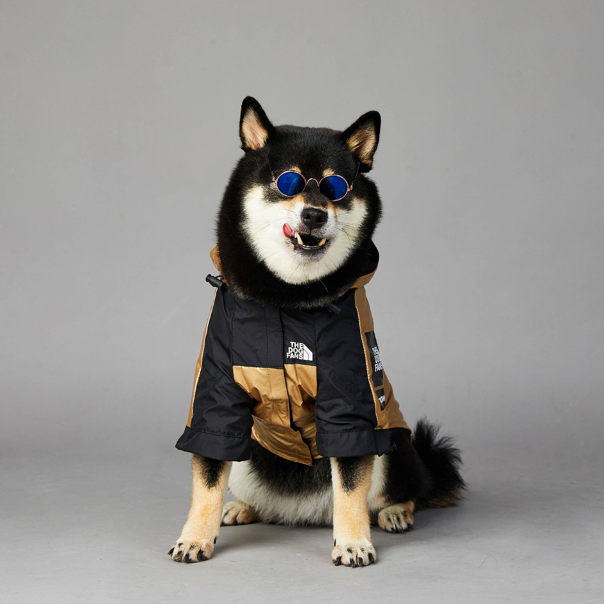 waterproof outdoor pet jacket for large dogs windproof raincoat 