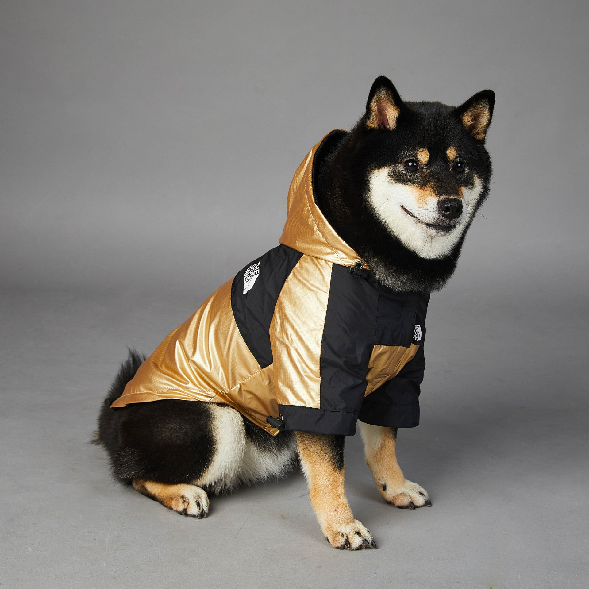 stylish North-Face style waterproof dog coat large breed pet jacket