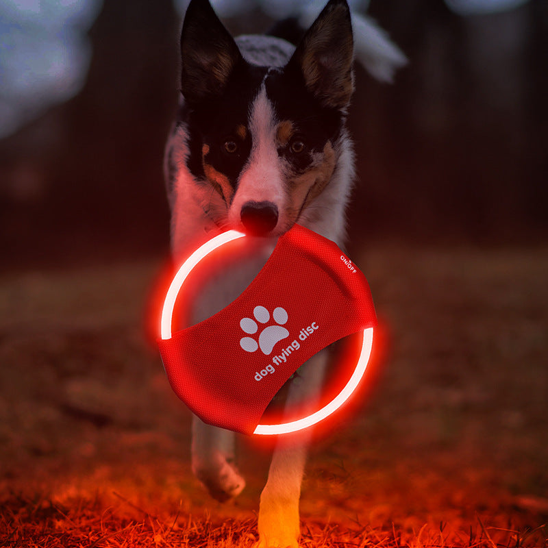 LED luminous dog flying disc as a gift idea for dog owners

