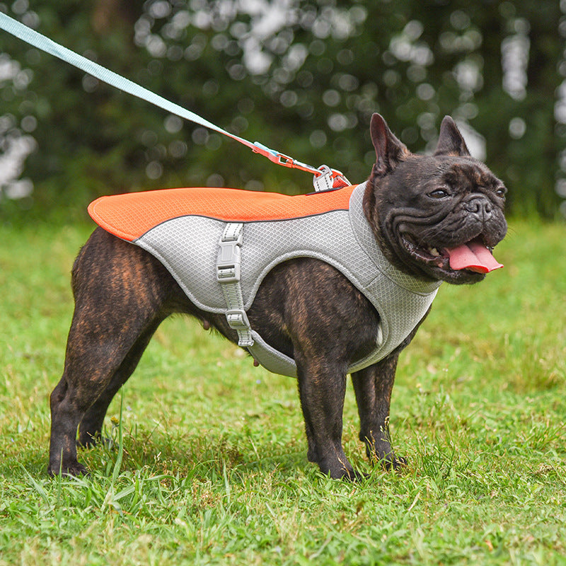 Breathable cooling dog harness vest with adjustable straps for hot weather walks