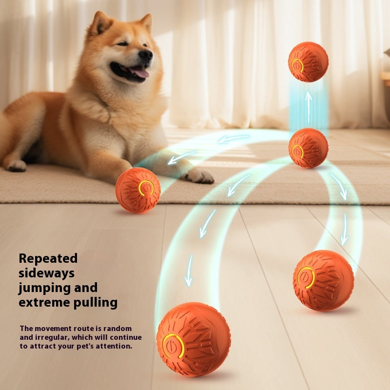 Automatic bouncing dog toy for small and large dogs interactive and luminous design