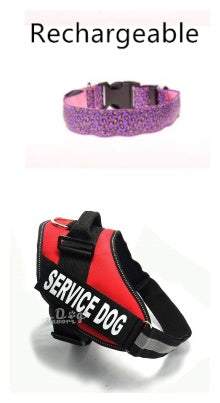 Red 'SERVICE DOG' harness with a pink and black patterned collar on a white background