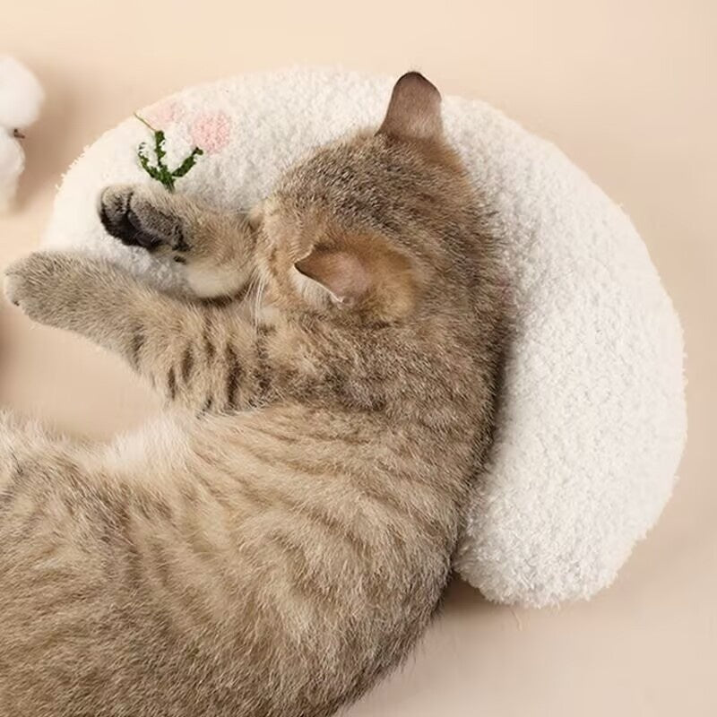 Cat sleeping on a fluffy white pillow with a pink flower design on a beige background