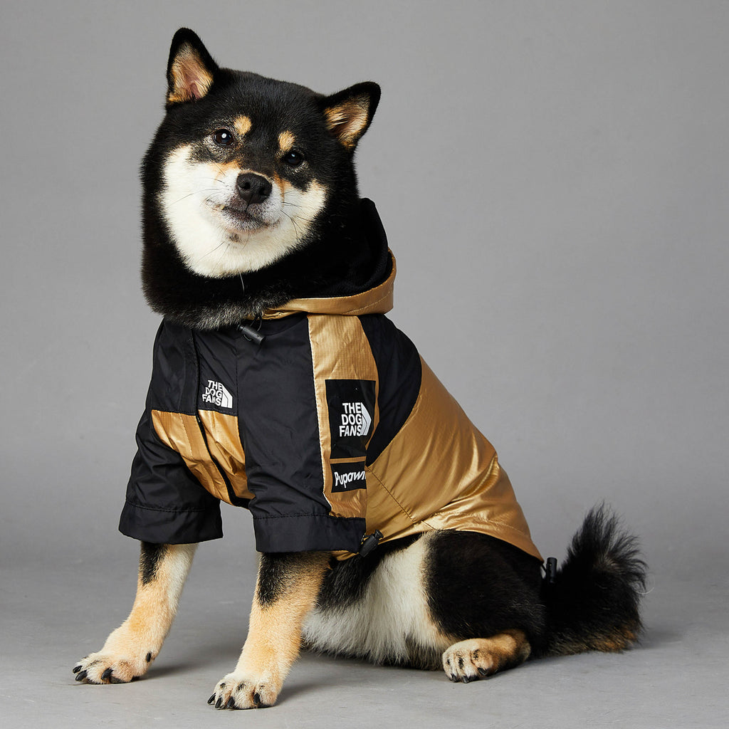 North-Face style large dog raincoat for wet weather walks